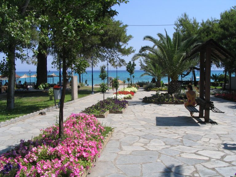 Chaniotis a true Vivid Paradise on Kassandra Peninsula